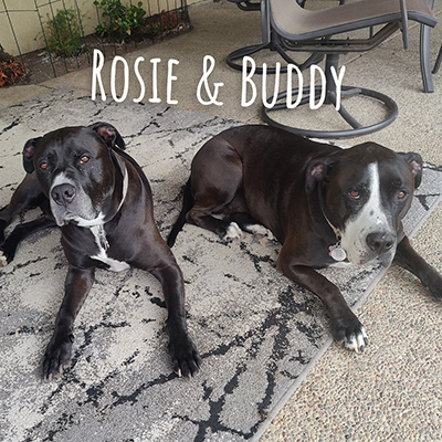 Rosie & Buddy